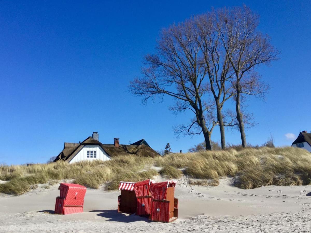 Ferienwohnung Morgensonne Born Bagian luar foto